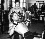 Arnold Schwarzenegger 499  photo célébrité