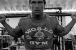  Arnold Schwarzenegger 464  photo célébrité