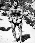  Arnold Schwarzenegger 449  photo célébrité