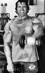  Arnold Schwarzenegger 447  photo célébrité