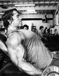  Arnold Schwarzenegger 436  photo célébrité