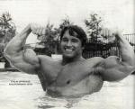  Arnold Schwarzenegger 408  photo célébrité