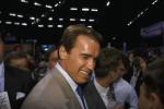  Arnold Schwarzenegger 395  photo célébrité
