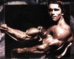  Arnold Schwarzenegger 393  photo célébrité