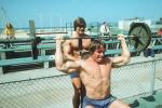  Arnold Schwarzenegger 392  photo célébrité