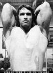 Arnold Schwarzenegger 385  photo célébrité