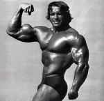  Arnold Schwarzenegger 381  photo célébrité