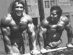  Arnold Schwarzenegger 379  celebrite de                   Dany17 provenant de Arnold Schwarzenegger
