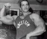  Arnold Schwarzenegger 373  photo célébrité