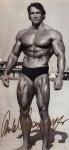  Arnold Schwarzenegger 347  photo célébrité