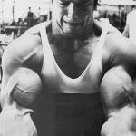  Arnold Schwarzenegger 338  photo célébrité