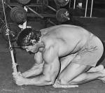  Arnold Schwarzenegger 335  photo célébrité
