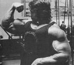  Arnold Schwarzenegger 331  photo célébrité