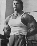  Arnold Schwarzenegger 330  photo célébrité