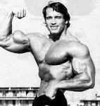  Arnold Schwarzenegger 326  celebrite de                   Elbertine3 provenant de Arnold Schwarzenegger