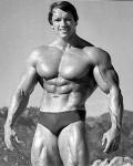  Arnold Schwarzenegger 325  photo célébrité