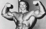  Arnold Schwarzenegger 324  celebrite de  Abbée48 provenant de Arnold Schwarzenegger