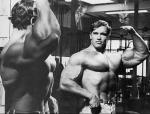  Arnold Schwarzenegger 320  photo célébrité