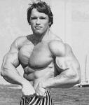  Arnold Schwarzenegger 318  photo célébrité