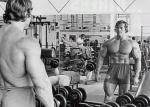  Arnold Schwarzenegger 315  photo célébrité