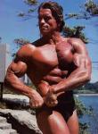  Arnold Schwarzenegger 313  photo célébrité
