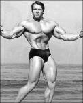  Arnold Schwarzenegger 307  photo célébrité