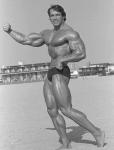  Arnold Schwarzenegger 302  photo célébrité