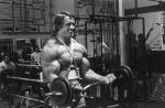  Arnold Schwarzenegger 297  photo célébrité