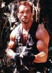  Arnold Schwarzenegger 29  photo célébrité