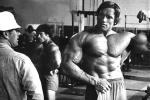  Arnold Schwarzenegger 289  photo célébrité