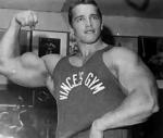  Arnold Schwarzenegger 275  photo célébrité
