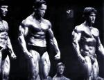  Arnold Schwarzenegger 269  photo célébrité