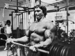  Arnold Schwarzenegger 256  photo célébrité