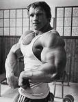  Arnold Schwarzenegger 25  photo célébrité