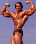  Arnold Schwarzenegger 219  photo célébrité