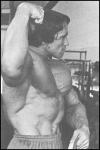  Arnold Schwarzenegger 211  photo célébrité