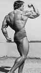  Arnold Schwarzenegger 186  photo célébrité