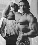  Arnold Schwarzenegger 184  photo célébrité