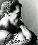  Arnold Schwarzenegger 173  celebrite de                   Daliane60 provenant de Arnold Schwarzenegger