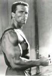 Arnold Schwarzenegger 163  photo célébrité