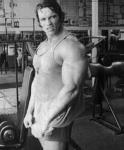 Arnold Schwarzenegger 158  photo célébrité