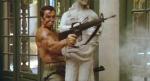  Arnold Schwarzenegger 1381  photo célébrité