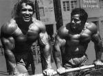  Arnold Schwarzenegger 1366  photo célébrité