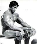  Arnold Schwarzenegger 1363  photo célébrité