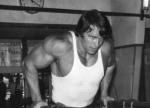  Arnold Schwarzenegger 1356  photo célébrité