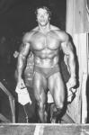  Arnold Schwarzenegger 1349  photo célébrité