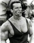 Arnold Schwarzenegger 1326  photo célébrité