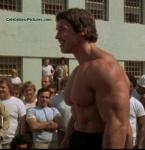  Arnold Schwarzenegger 1291  celebrite de                   Jackie2 provenant de Arnold Schwarzenegger