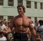  Arnold Schwarzenegger 1290  photo célébrité