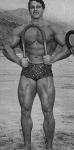  Arnold Schwarzenegger 1261  photo célébrité